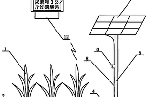 帶太陽能光伏發(fā)電向化學(xué)傳感器供電的肥水調(diào)控裝置