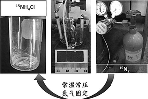 自支撐的金屬納米粒子/多孔氮摻碳膜及其制備方法和應用