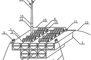 在帶拋錨的插入式聯(lián)排浮筒平臺上建造太陽能光伏電站