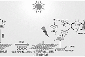 氮化碳復(fù)合材料及其制備方法與人工光合作用中的應(yīng)用