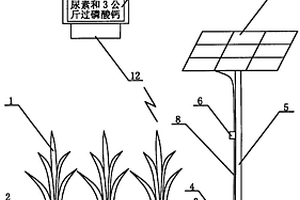 帶太陽能光伏發(fā)電向化學(xué)傳感器供電的肥水調(diào)控裝置