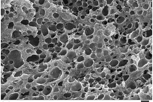 三維多孔磷酸錳鋰、其制備方法及用途