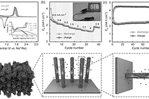 直接生長三維納米陣列電極用作高面積容量的鈉存儲