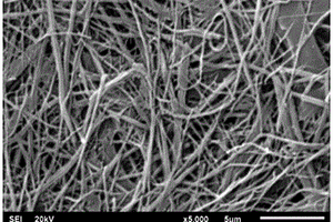 鋰離子電池用高容量介孔碳納米纖維及其制備方法