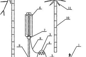 風力發(fā)電系統(tǒng)助春筍出土提早上市的培育裝置