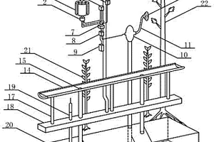風光互補供電提水泵從雨水收集池提水澆灌樹木的裝置