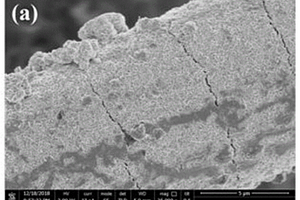 CNFs負載MoS<sub>2</sub>新型鎂-鋰雙鹽電池正極材料及其構(gòu)筑方法