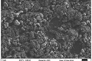 Al<Sub>2</Sub>O<Sub>3</Sub>&PVDF&PMMA混涂漿料、復(fù)合型鋰離子電池隔膜和鋰離子電池