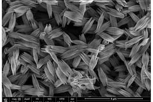 梭形結(jié)構(gòu)H<Sub>2</Sub>Ti<Sub>5</Sub>O<Sub>11</Sub>·H<Sub>2</Sub>O納米材料的溶劑熱合成方法及鋰電池電極材料應用