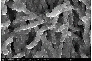 錳酸鋰、鈦酸鋰與TiO<Sub>2</Sub>復(fù)合物納米線及其制備方法