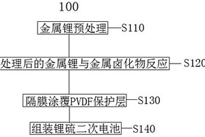 鋰金屬負極雙重保護方法與應用