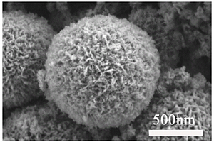 鋰硫電池正極異質(zhì)結(jié)材料的制備方法