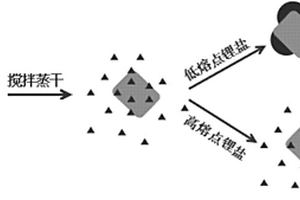 鋰鹽摻合納米碳酸鈣的二氧化碳吸附劑前驅(qū)體及其應(yīng)用