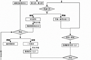 從鹽湖鹵水中提取碳酸鋰的方法