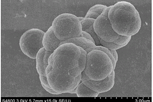 絨球狀SnS2鋰離子電池負(fù)極材料的制備方法