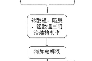 柔性鋰離子電池及網(wǎng)絡(luò)狀鈦酸鋰電極結(jié)構(gòu)的制備方法