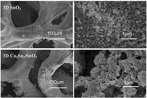 鋰離子電池用三維Co<sub>3</sub>Sn<sub>2</sub>/SnO<sub>2</sub>負(fù)極材料及其制備方法