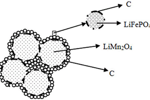 納米結構錳酸鋰/磷酸鐵鋰/碳三維復合球形粉體材料及其制備方法