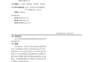 用于可再充電鋰電池的負(fù)極和包括其的可再充電鋰電池