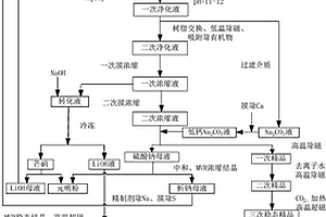 聯(lián)合制備電動汽車級碳酸鋰和單水氫氧化鋰的方法