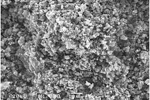 鋰離子電池正極材料鉬酸鐵鋰的制備方法