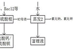 從含鋰、鈉、鉀的混合鹽體系中分別分離出鋰鹽、鈉鹽、鉀鹽的工藝方法