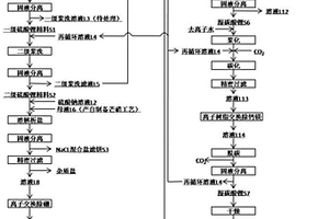 采用硫酸鋰粗礦制備電池級碳酸鋰并回收副產(chǎn)物的方法