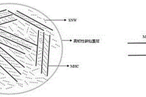 摻硅補(bǔ)鋰技術(shù)方案及其鋰離子電池的組裝方法