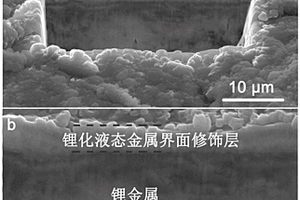 鋰金屬負(fù)極及其制備方法和鋰金屬、鋰硫、鋰空氣電池