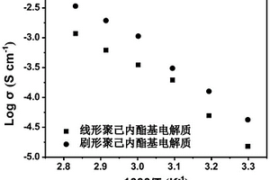 聚酯基刷形聚合物電解質(zhì)及其制備和應(yīng)用