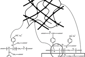 PVDF基陽(yáng)離子交換膜的制備方法