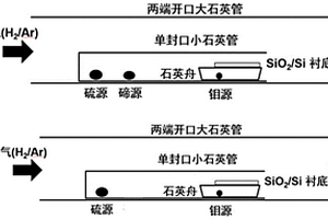 一維MoS2納米管材料及其制備方法