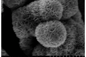 石墨烯-二氧化錳花球狀負極材料、其制備方法及用途