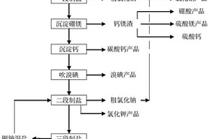 復(fù)雜地下鹵水綜合利用的方法