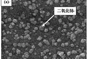 碳硫復合正極及其制備方法和應用