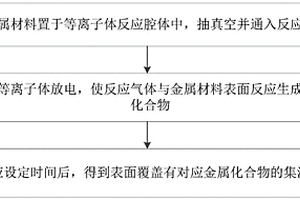 等離子體技術(shù)原位生成金屬化合物的集流體制備方法