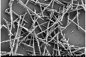 β-MnO<Sub>2</Sub>@Co<Sub>3</Sub>O<Sub>4</Sub>復(fù)合材料及其制備方法和應(yīng)用