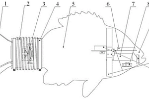 基于雙斜面偏轉(zhuǎn)關(guān)節(jié)的機器魚