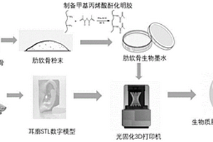 基于肋軟骨的3D打印生物墨水及其制備方法與應(yīng)用