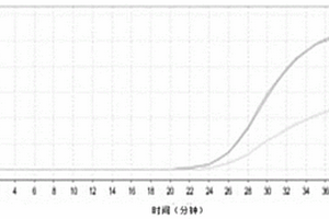 實(shí)時(shí)熒光核酸恒溫?cái)U(kuò)增檢測(cè)試劑盒及其應(yīng)用