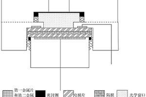 電化學(xué)原位在線檢測(cè)裝置及其使用方法