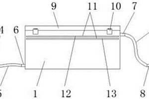 生物實(shí)驗(yàn)教學(xué)用光合作用模擬裝置