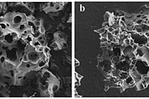 基于冰模板調(diào)控的生物質(zhì)基籠狀多孔碳制備方法及其應(yīng)用
