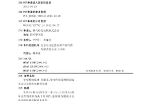 導電性組成物、分散系、導電性組成物的制造方法以及固體電解質(zhì)電池