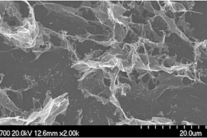 高比表面積石墨烯的制備方法