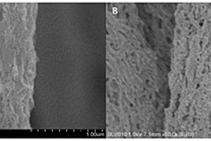 導(dǎo)電聚苯胺包覆聚酰亞胺基多孔有機(jī)納米復(fù)合纖維膜