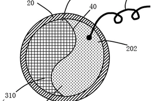 自毀結(jié)構(gòu)、電解液、電極、隔膜及電池