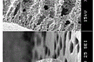 用于高溫CO<Sub>2</Sub>氣體分離的SDC/LNO-碳酸鹽膜、膜反應(yīng)器及其應(yīng)用