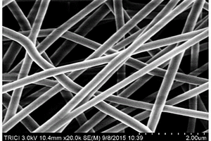 生化腐植酸基炭納米纖維電極的制備方法