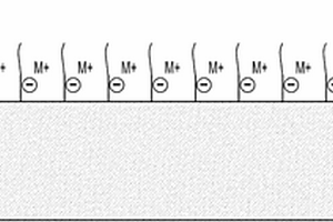 包括聚合物單離子導(dǎo)體涂層的負(fù)電極